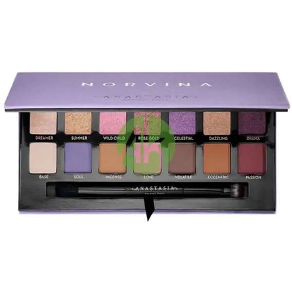 Anastasia Beverly Hills Brow Pro Palette