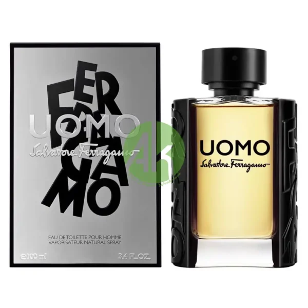 Salvatore Ferragamo Uomo Homme Men EDT 100ML