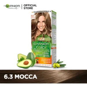 Garnier Color Naturals Hair Color 6.3