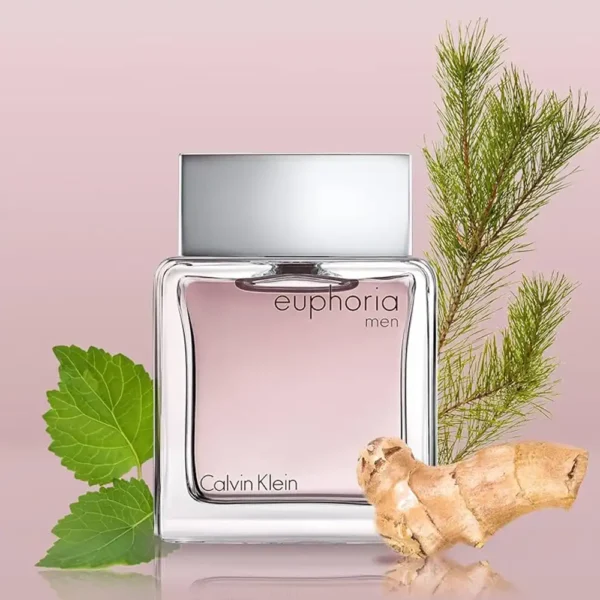 Euphoria CK EDT Men 100ML