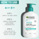 Garnier Pure Active Salicylic Purifying Gentle Cleanser 250ml