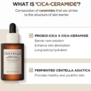 Madagascar Centella Probio Cica Intensive Ampoule 95ml