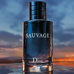 Sauvage Dior EDT For Men 200ml